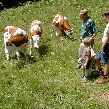 Farm stay Forstnighof Millstatt