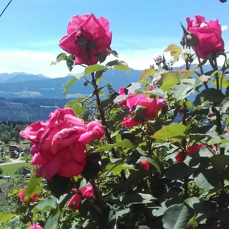 Forstnighof * Millstatt