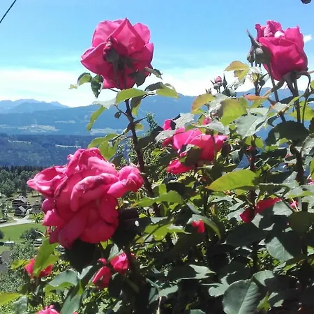 Forstnighof * Millstatt
